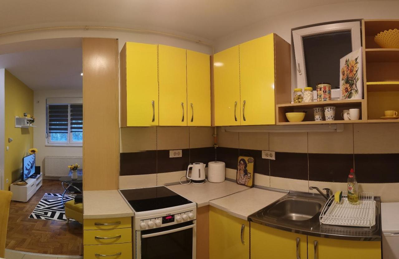 Apartman Sunflower Sremska Mitrovica Exterior photo
