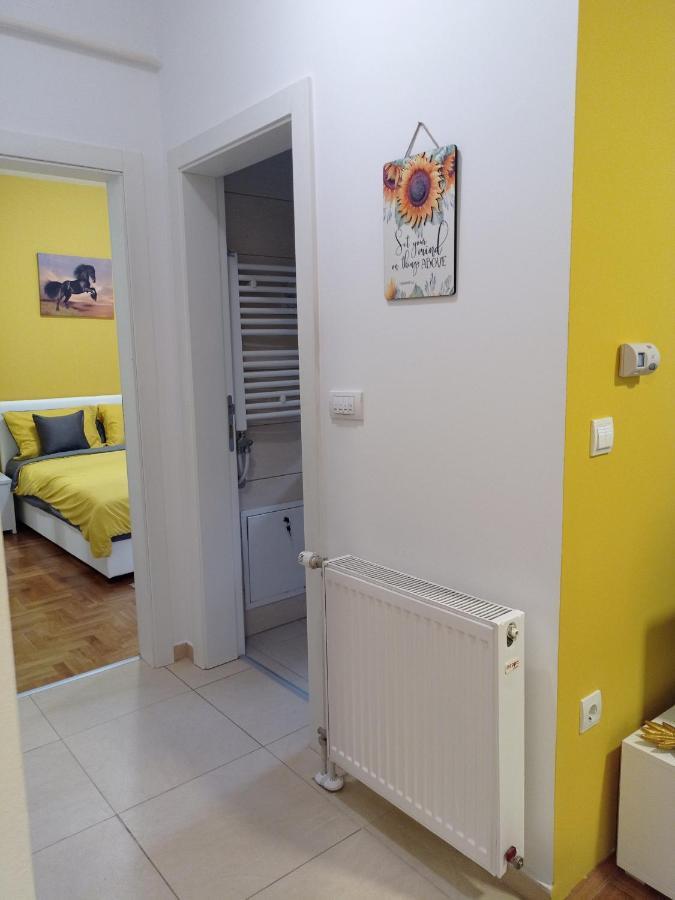 Apartman Sunflower Sremska Mitrovica Exterior photo